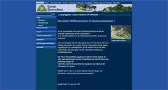 Desktop Screenshot of camp-freienstein.de